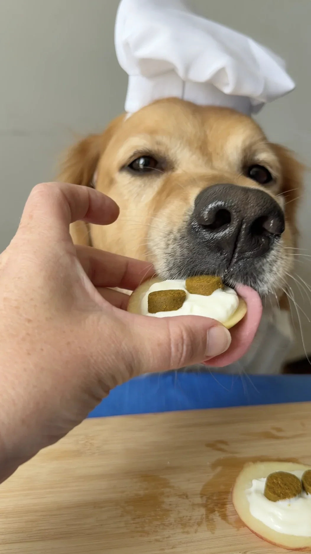 Apple Supplement Snack Recipe