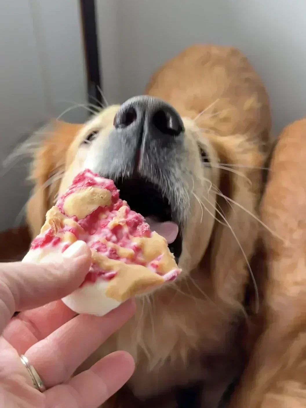 Yogurt Bark