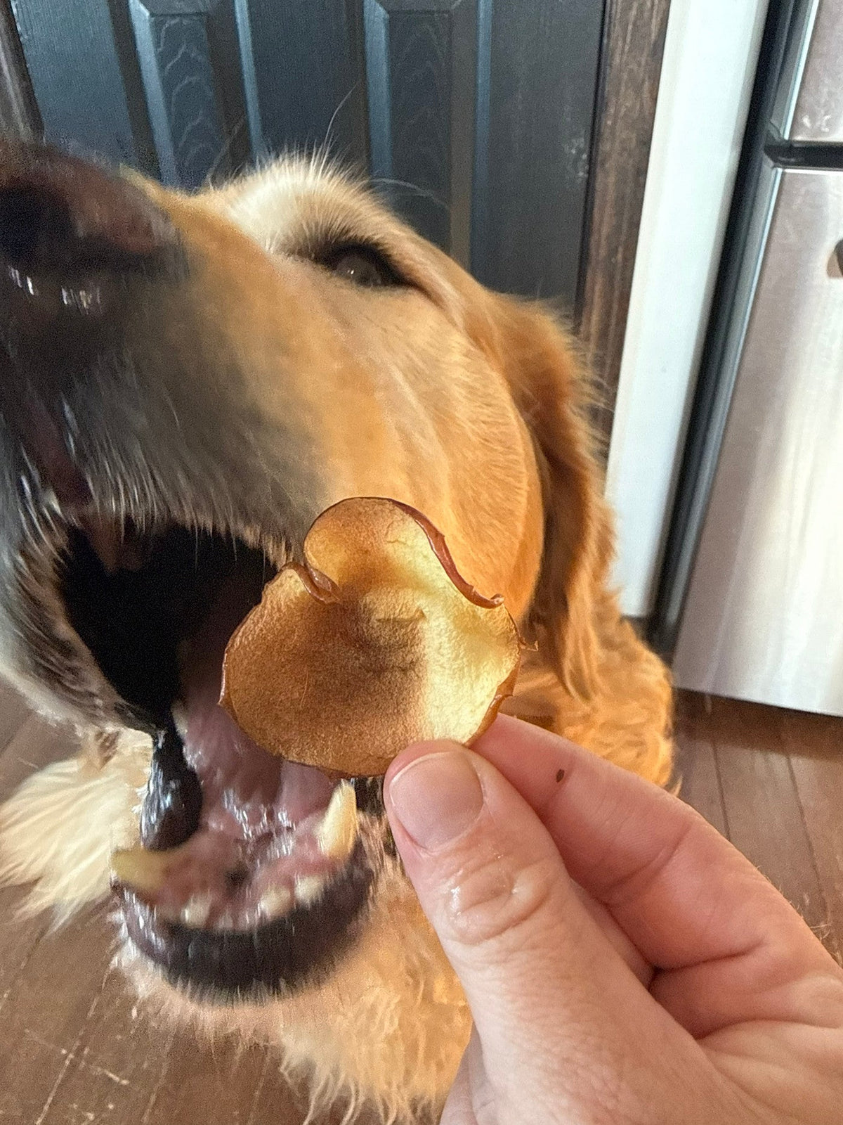 Apple Chips Recipe