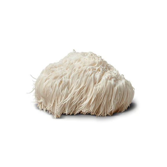 Lion's Mane