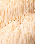 Lion’s Mane