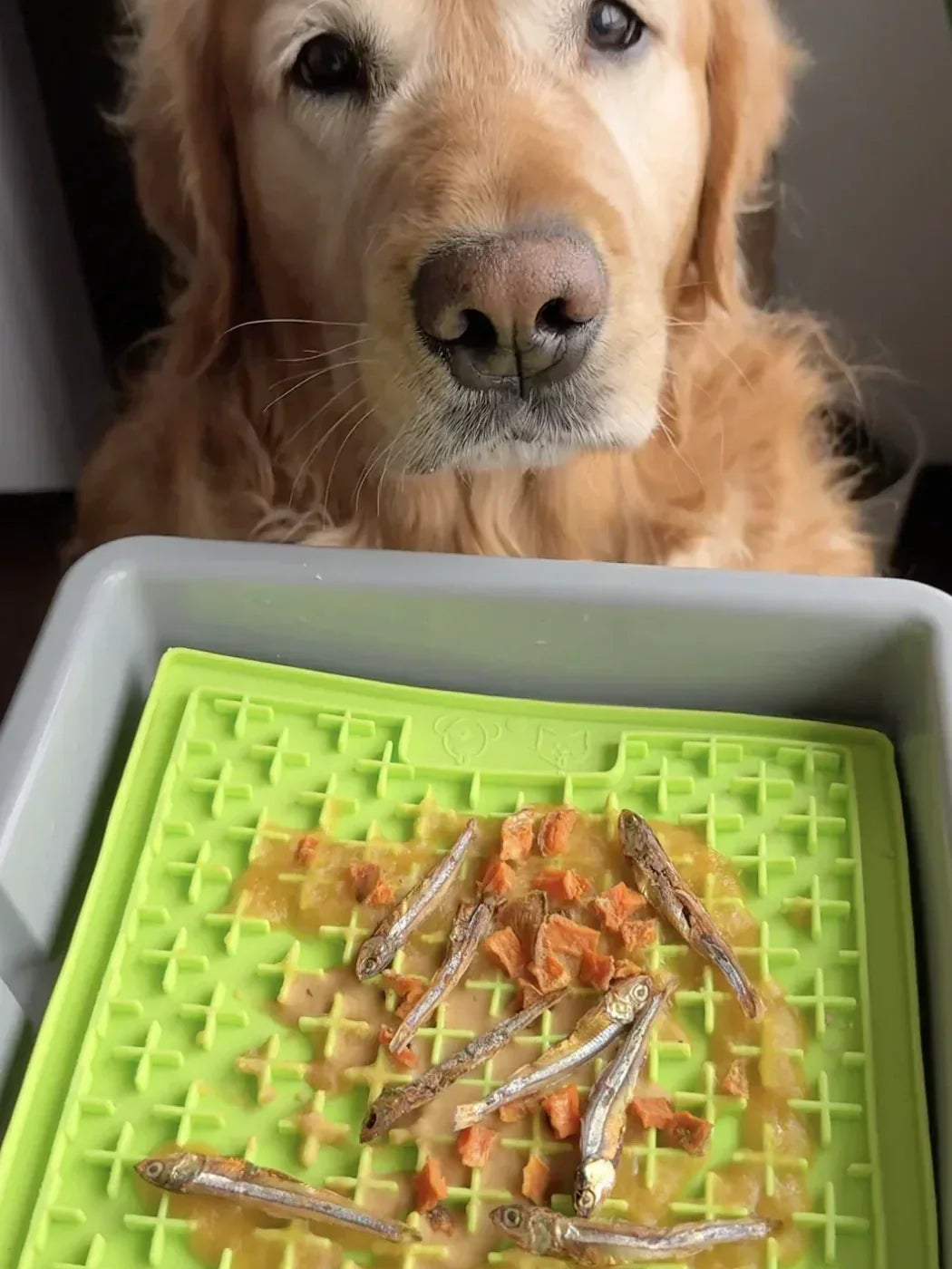 Baby Food Lick Mat Recipe