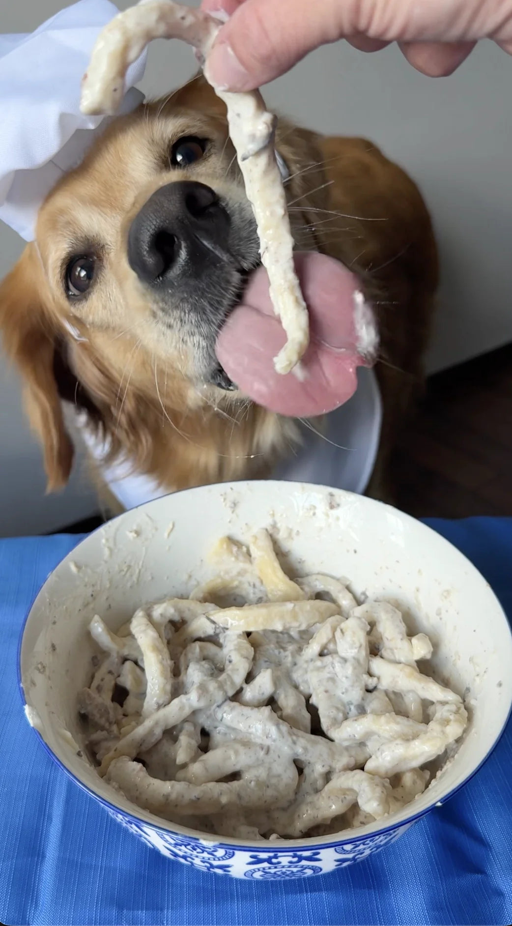 Sardine Pasta Recipe