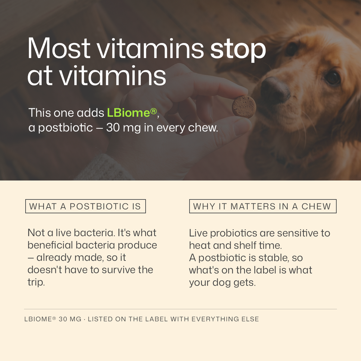 25-in-1 Allergy Relief Multivitamin Chews