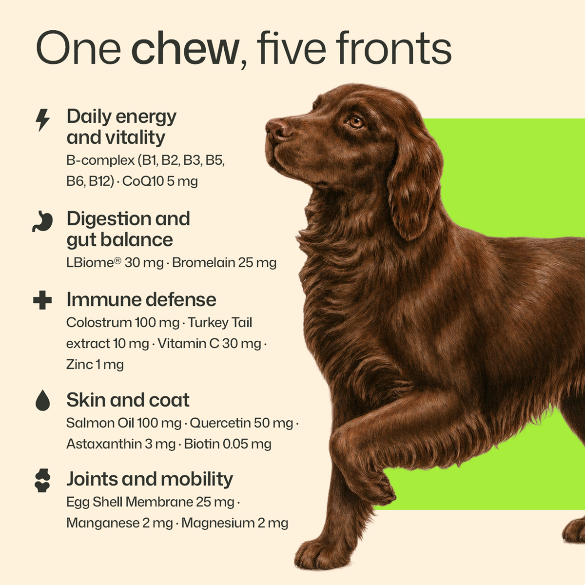 25-in-1 Allergy Relief Multivitamin Chews