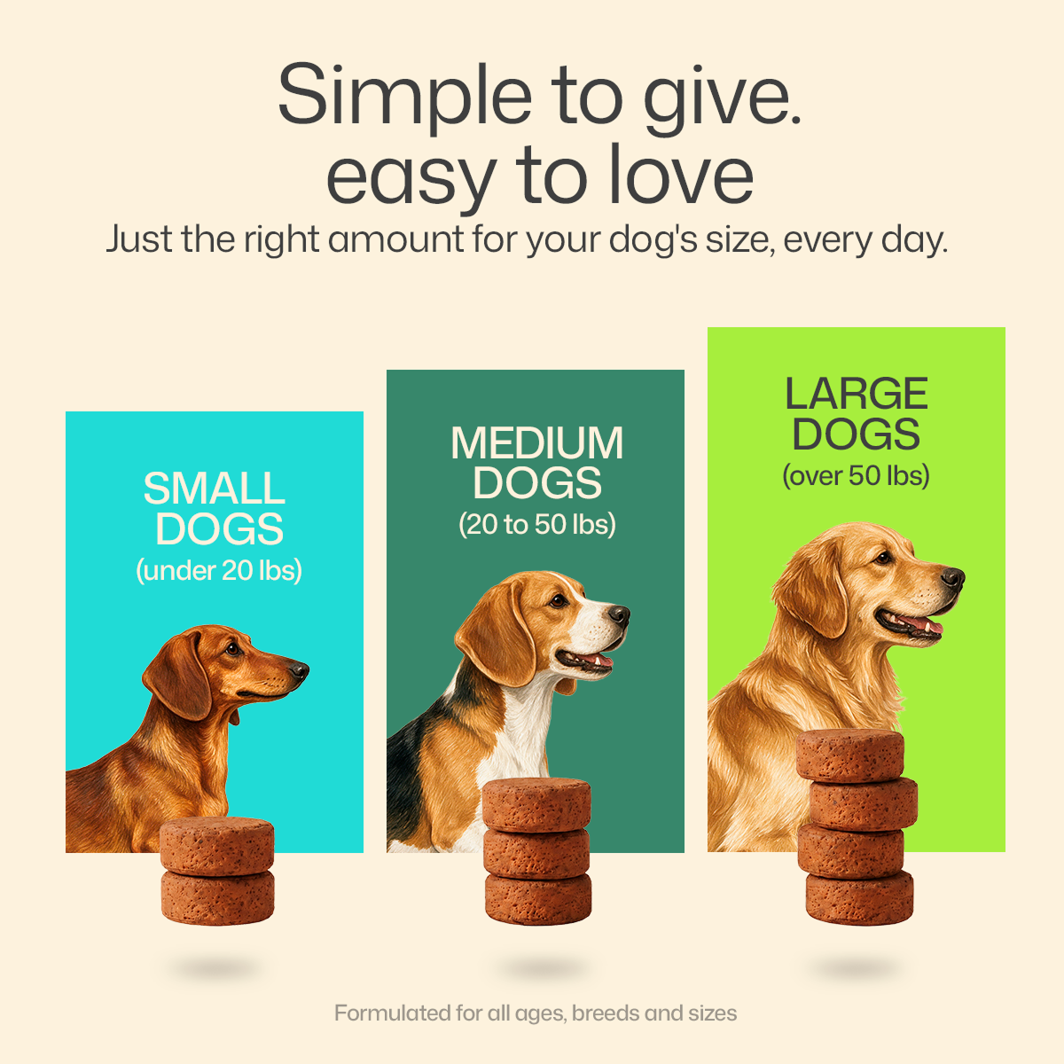25-in-1 Allergy Relief Multivitamin Chews