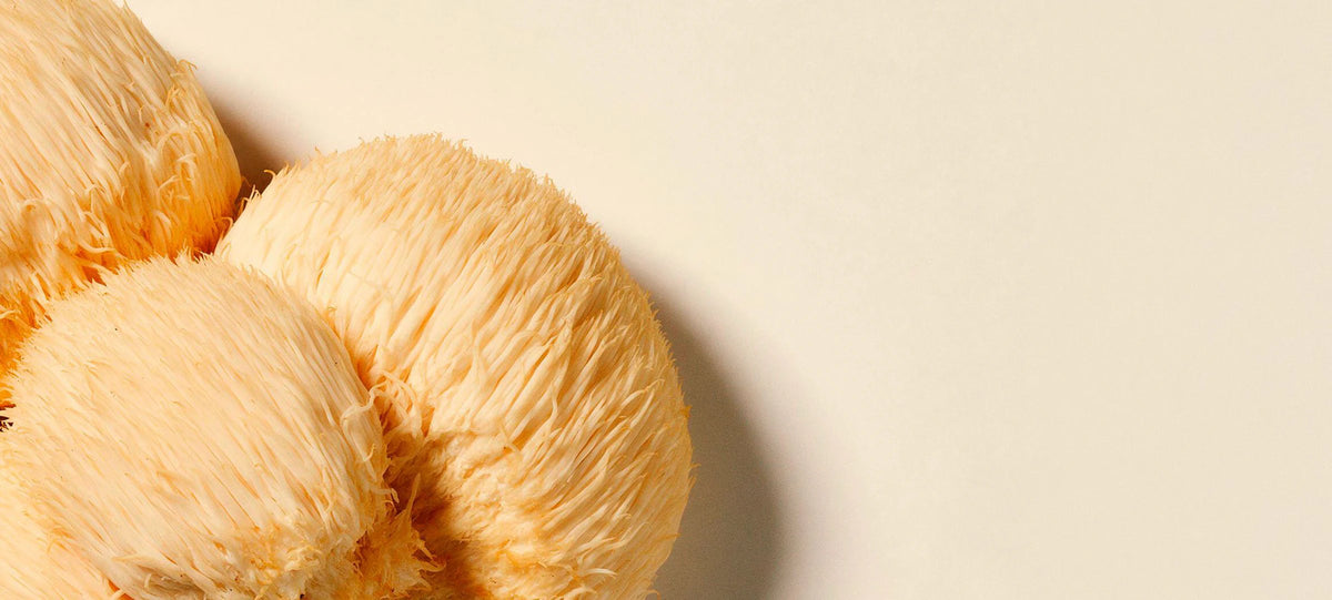 Mushrooms