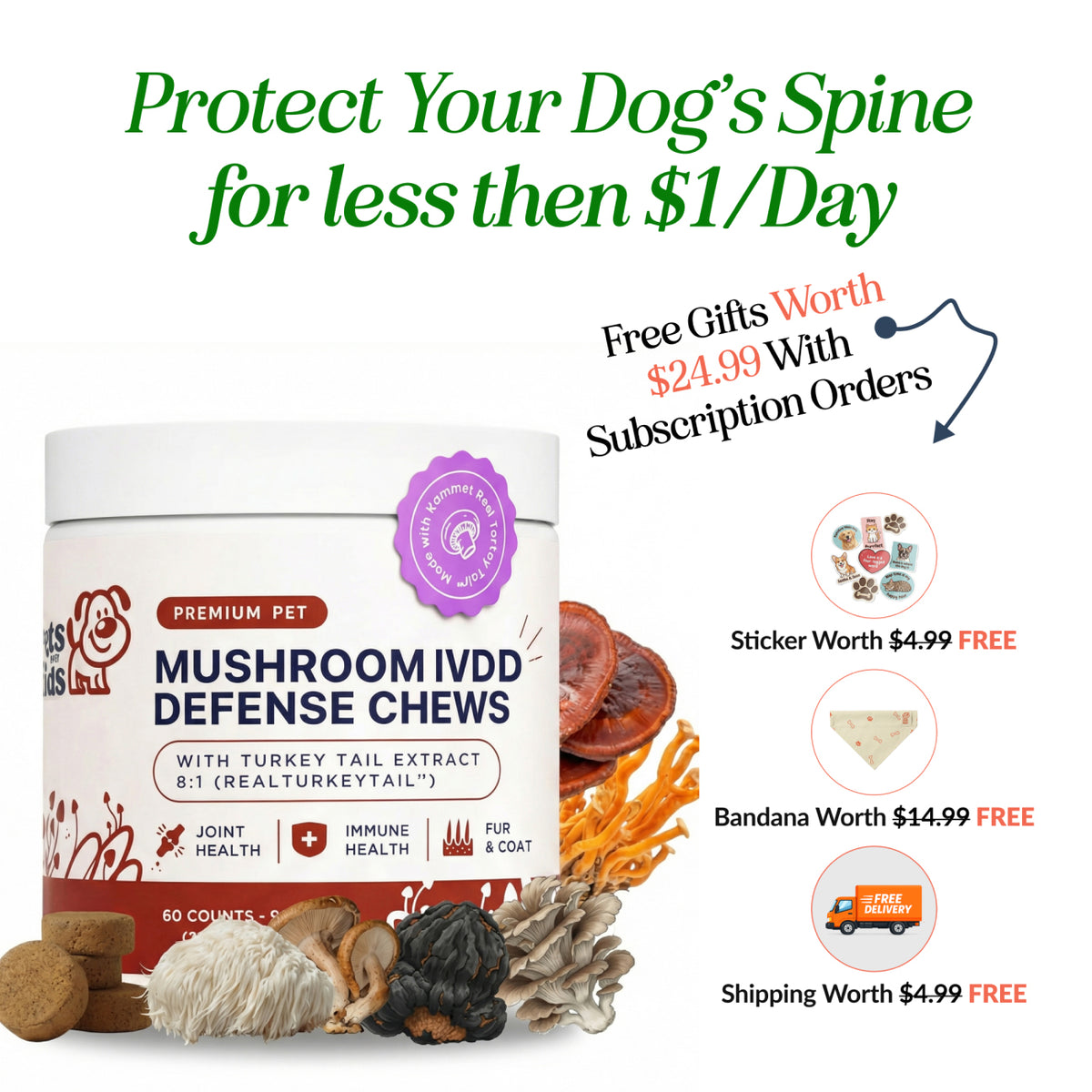 Mushroom IVDD Defense Chews