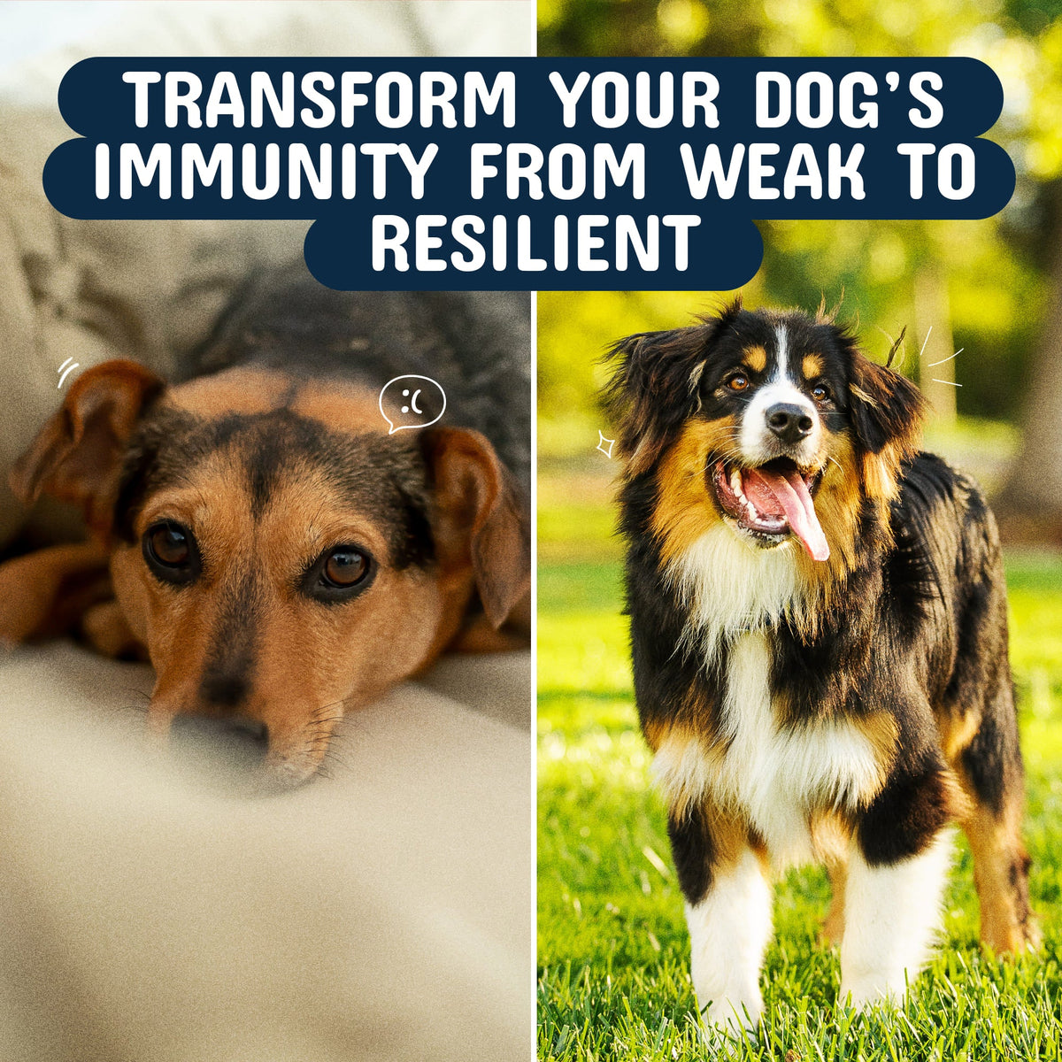 Resilient immunity