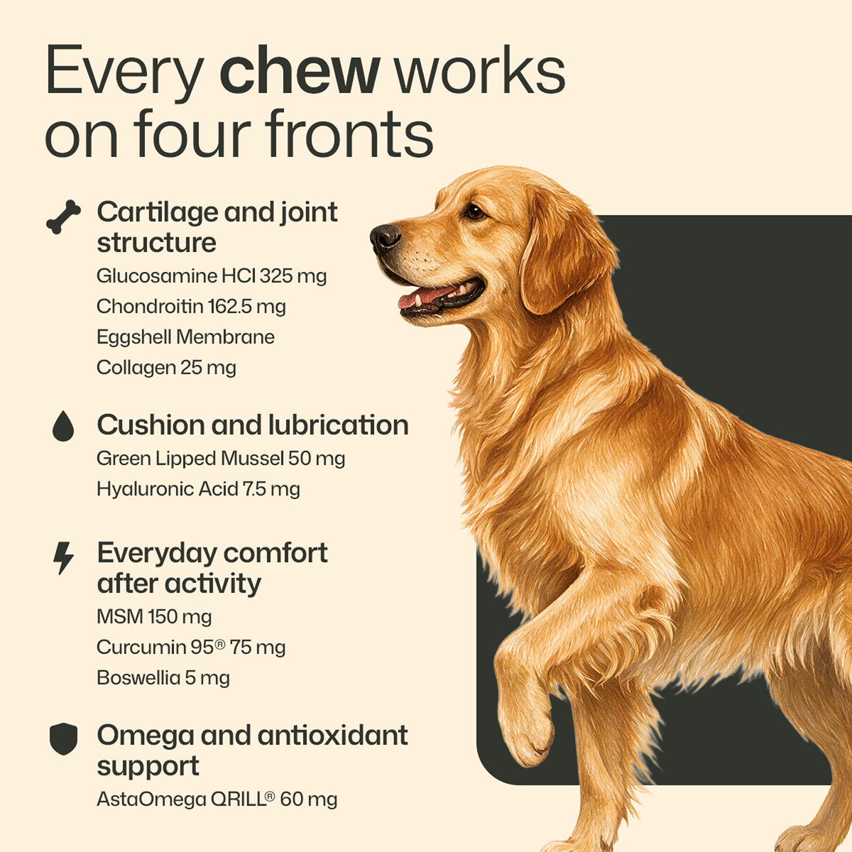 Premium Hip & Joint Chews