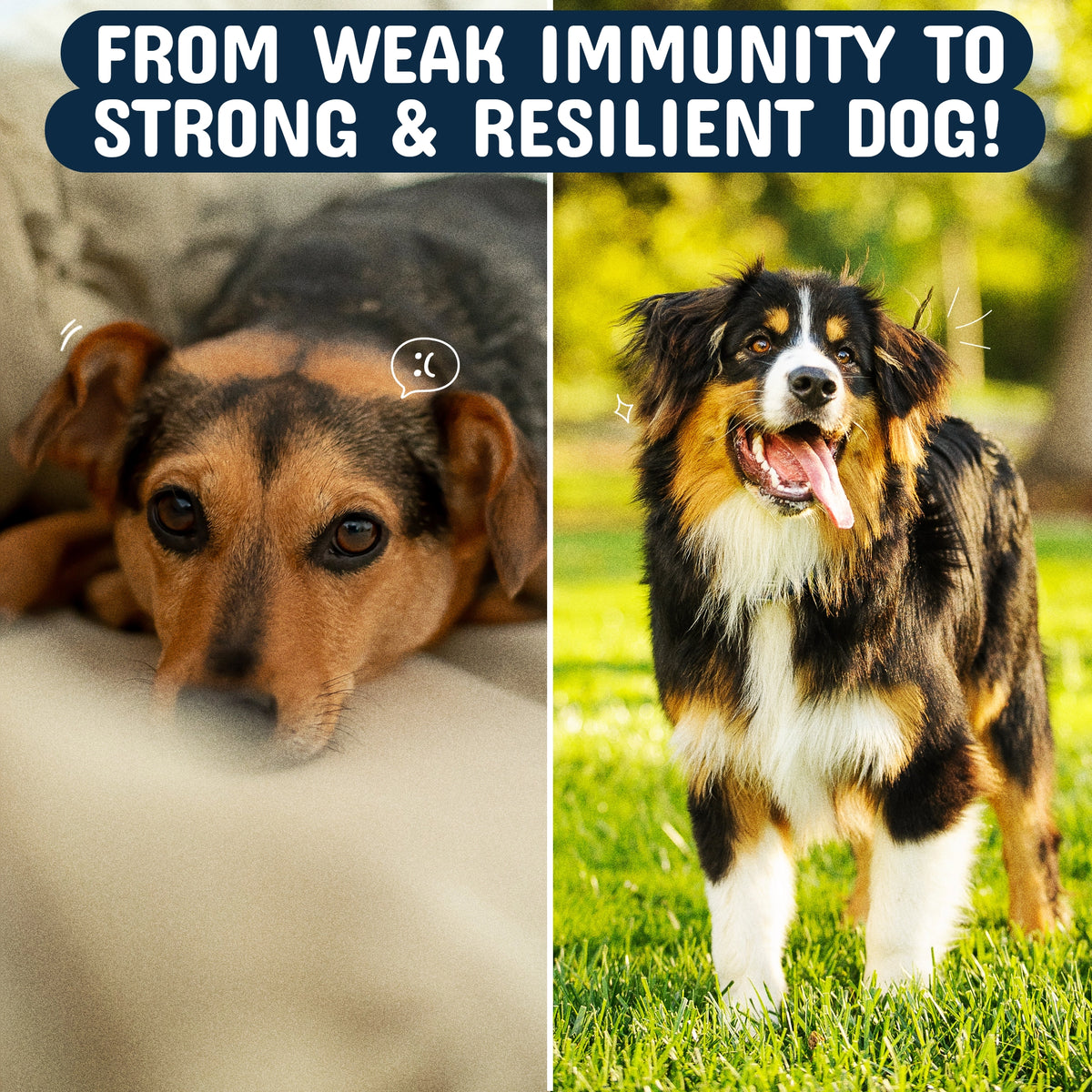From weak to strong