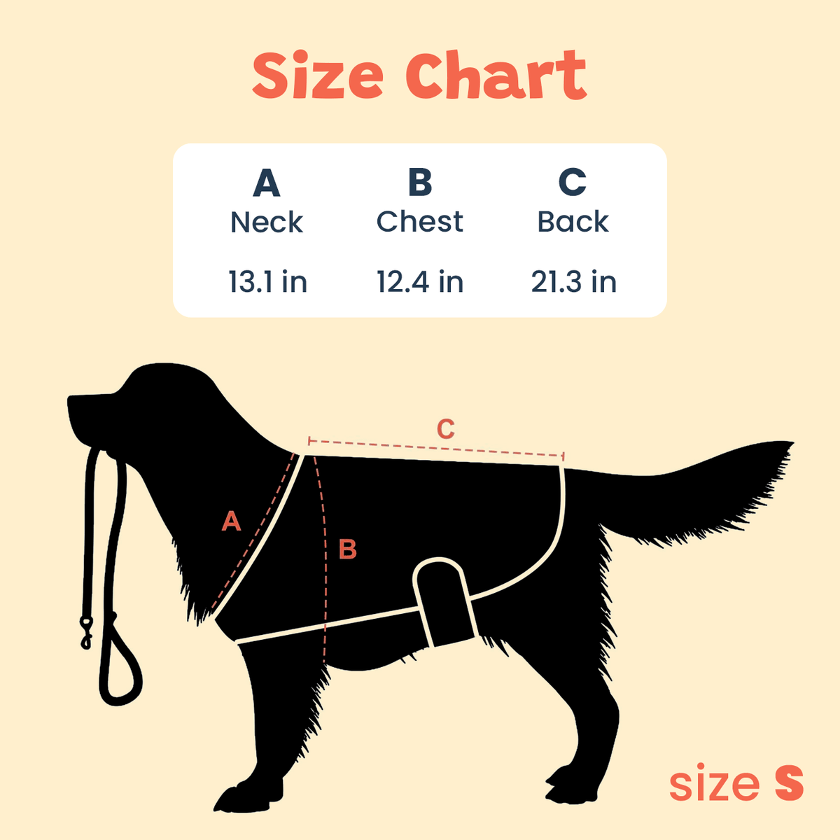Size chart for size S