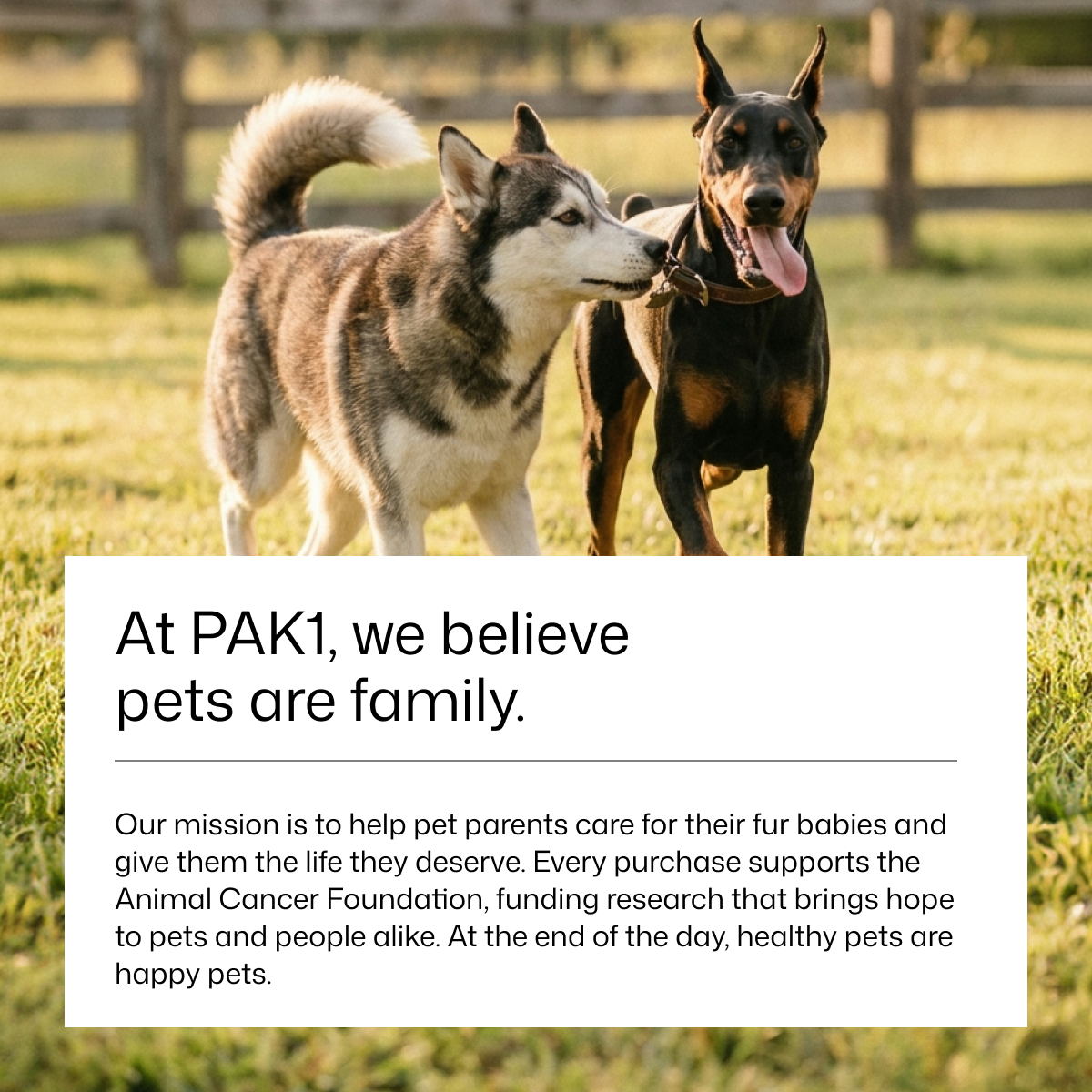 Premium Pet Anti-Itch Deodorant Spray