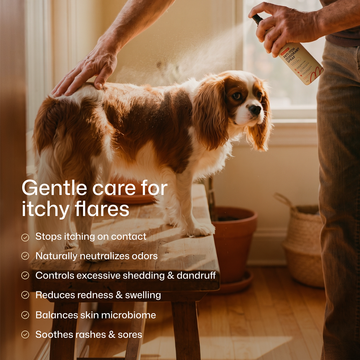 Premium Pet Anti-Itch Deodorant Spray