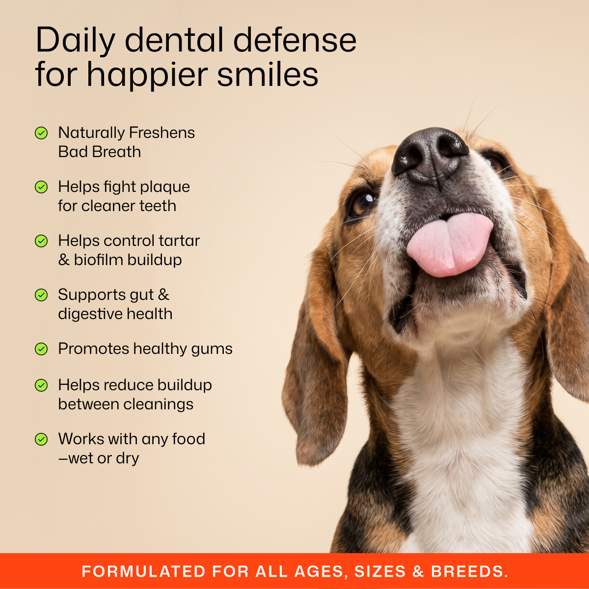 Premium Pet Dental Powder