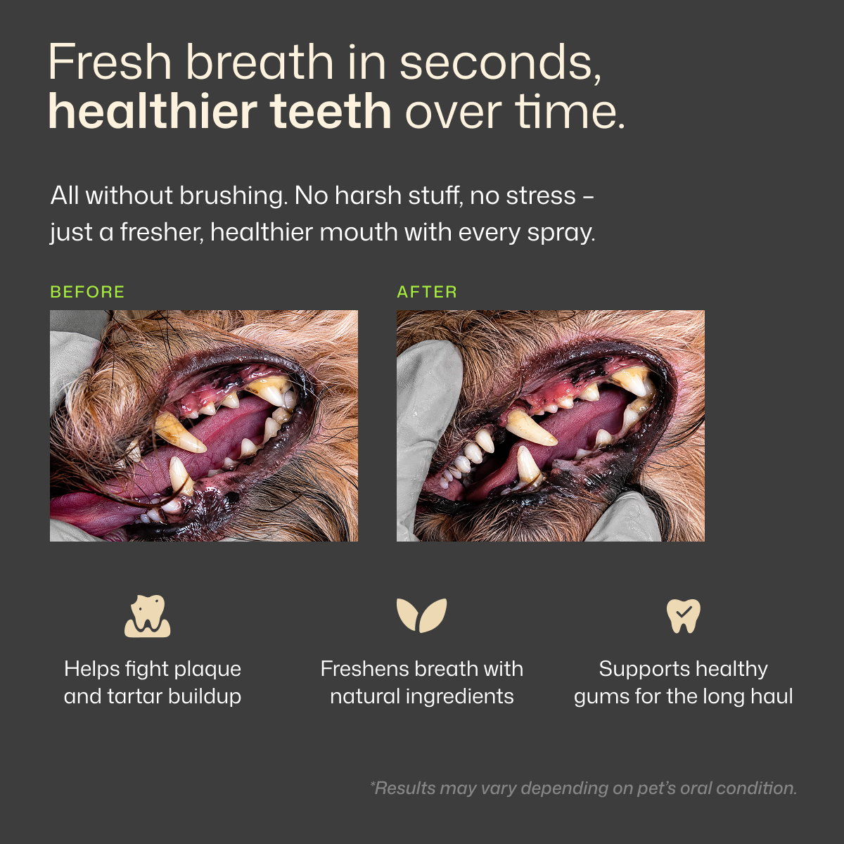 Premium Pet Dental Spray