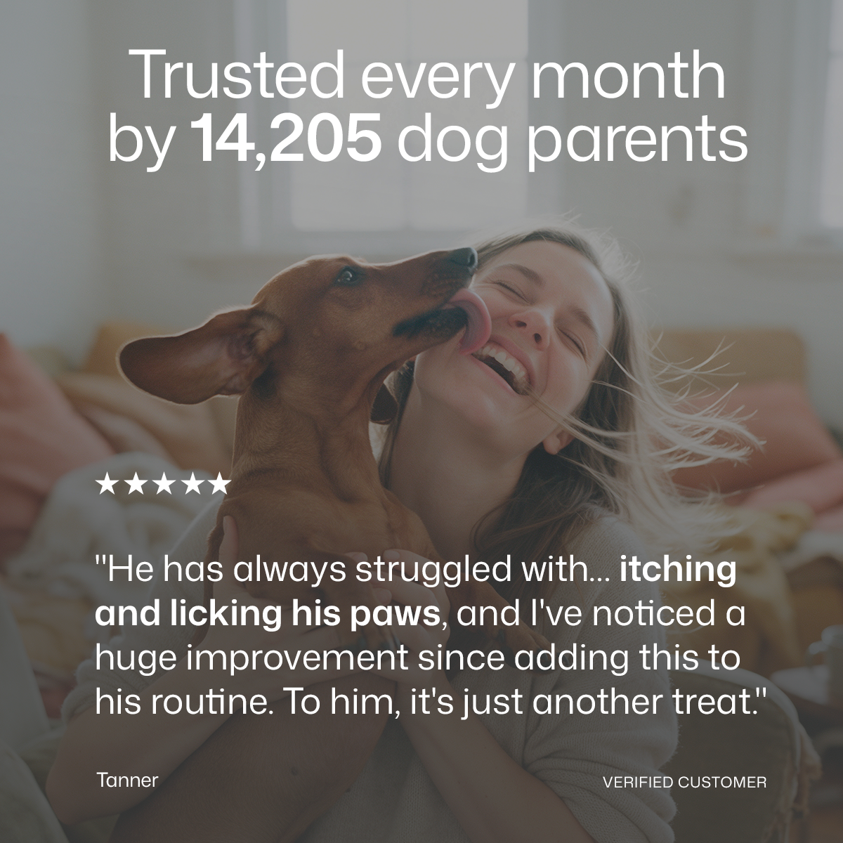 Senior Dog Care Bundle