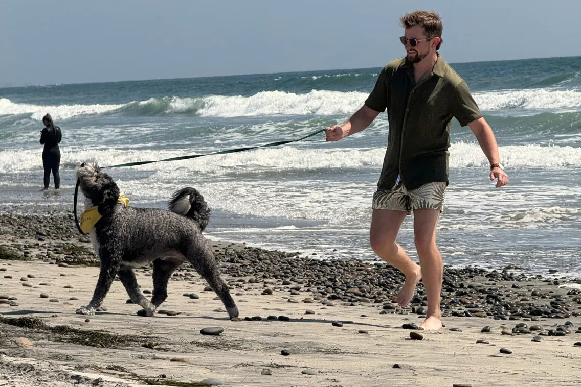 Tanner and Winston walking on the beach
