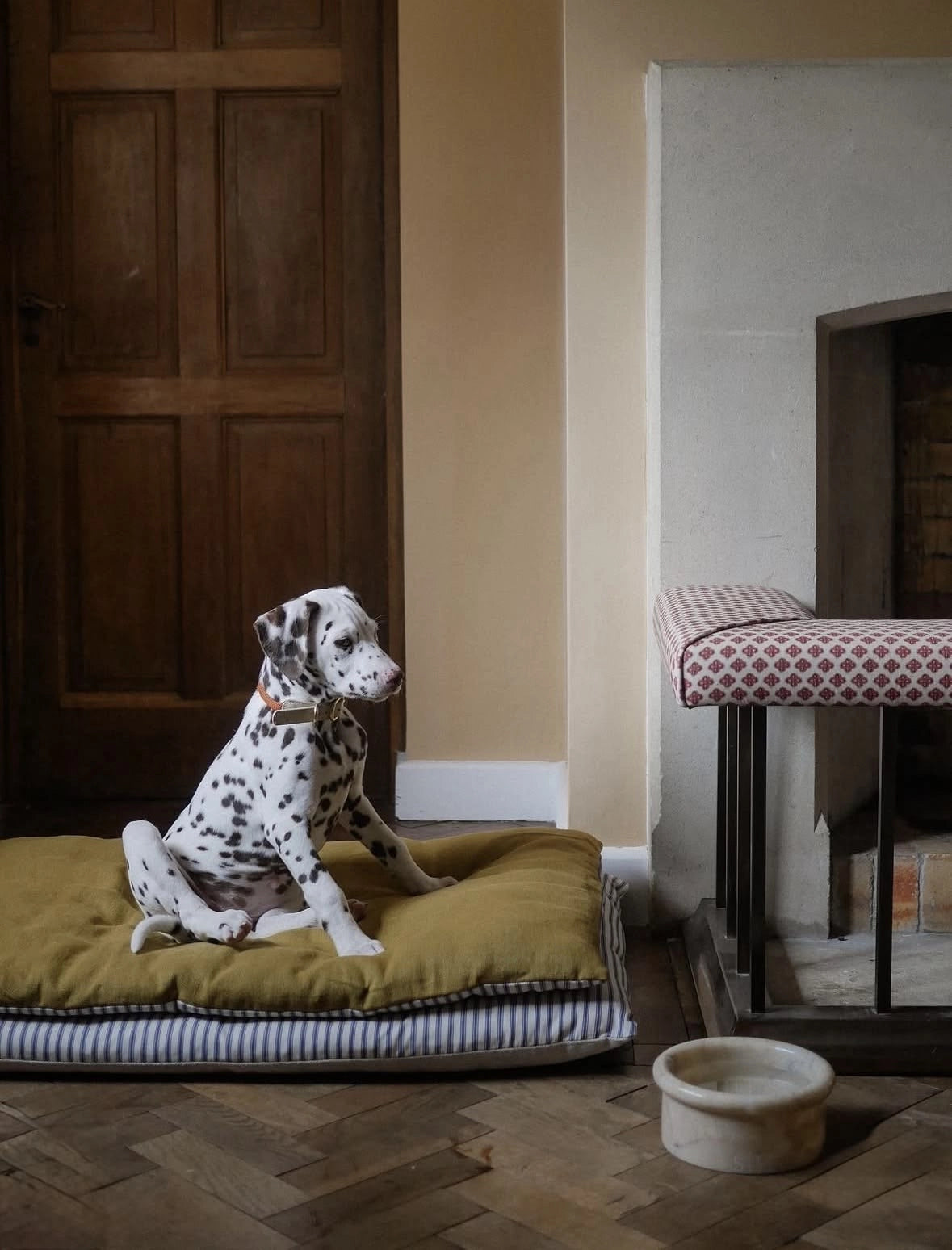 A Dalmatian dog sits on a yellow-green dog bed with a striped base in a cozy room with a wooden door, fireplace, and a small bowl on the floor.